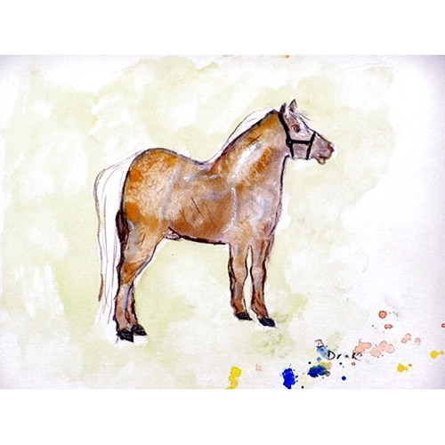 Betsy Drake BT935 Shetland Pony Beach Towel - 30 x 50 in.