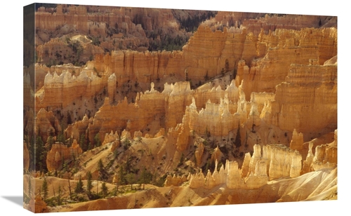 Global Gallery GCS-452892-1624-142 16 x 24 in. Hoodoos Formations From