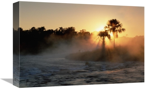 Global Gallery GCS-451574-1218-142 12 x 18 in. Buriti Palm Gallery For