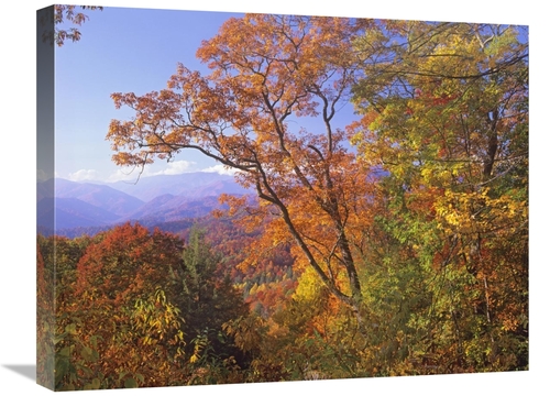 Global Gallery GCS-396599-1824-142 18 x 24 in. Great Smoky Mountains F