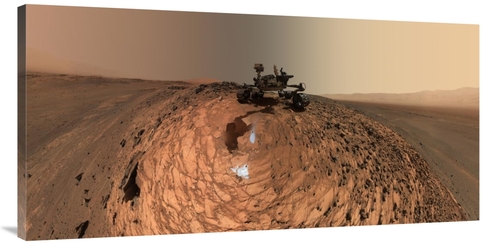 Global Gallery GCS-459304-2448-142 24 x 48 in. Curiosity Self-Portrait