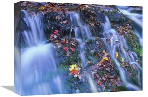 Global Gallery GCS-396767-1216-142 12 x 16 in. Laurel Creek Cascades&#