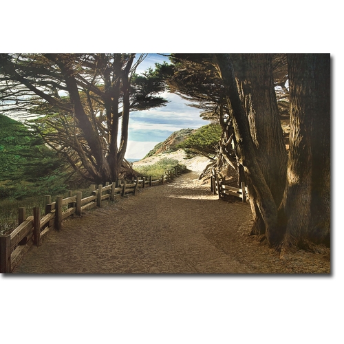 Artistic Home Gallery 1624B384CG Big Sur by Michael Cahill Premium Gal