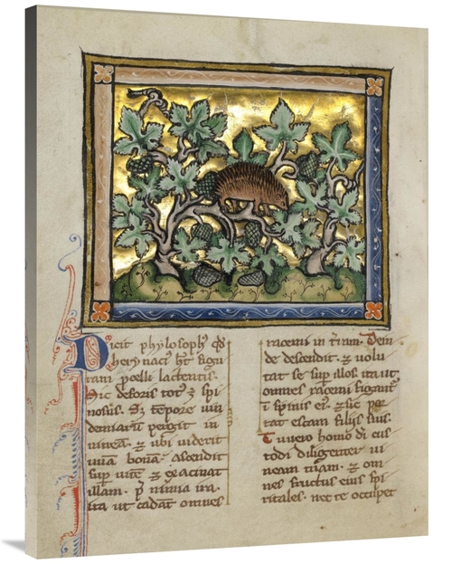 Global Gallery GCS-454751-3040-142 30 x 40 in. A Hedgehog Art Print - 