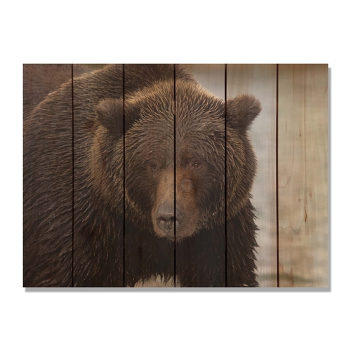 Day Dream HQ BB3324 33 x 24 in. Big Bear Inside & Outside Cedar Wall A