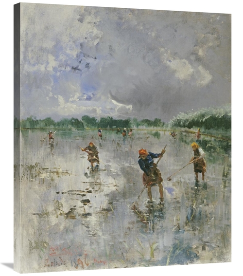 Global Gallery GCS-266838-36-142 36 in. Women Working in Rice Fields A
