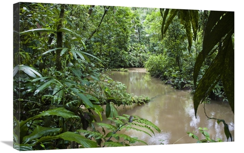 Global Gallery GCS-452672-2030-142 20 x 30 in. River in Lowland Rainfo