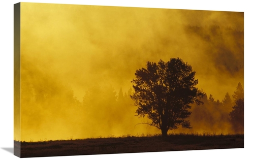 Global Gallery GCS-395784-2030-142 20 x 30 in. Sunrise Through Thermal