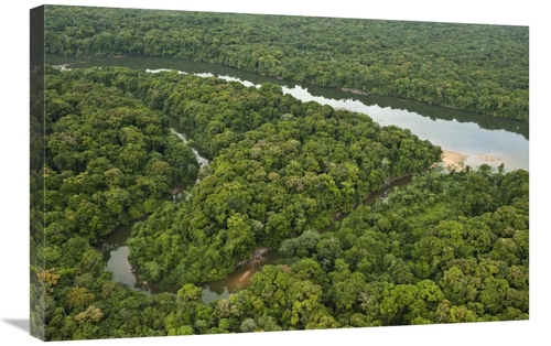 Global Gallery GCS-397908-2030-142 20 x 30 in. Essequibo River, Iw