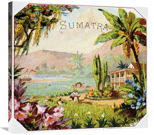 Global Gallery GCS-281139-30-142 30 in. Sumatra Art Print - Unknown