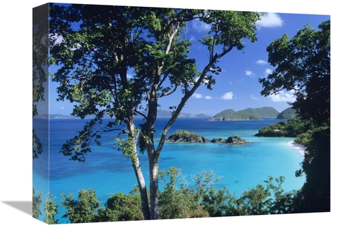 Global Gallery GCS-396489-1216-142 12 x 16 in. Caribbean Seen Through 