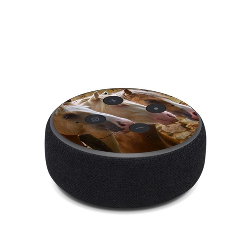 DecalGirl AED3-3AMIGOS Amazon Echo Dot 3rd Gen Skin - 3 Amigos