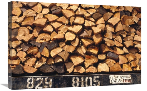 Global Gallery  20 x 30 in. Firewood Hauled From Clearcut on Truck Bed