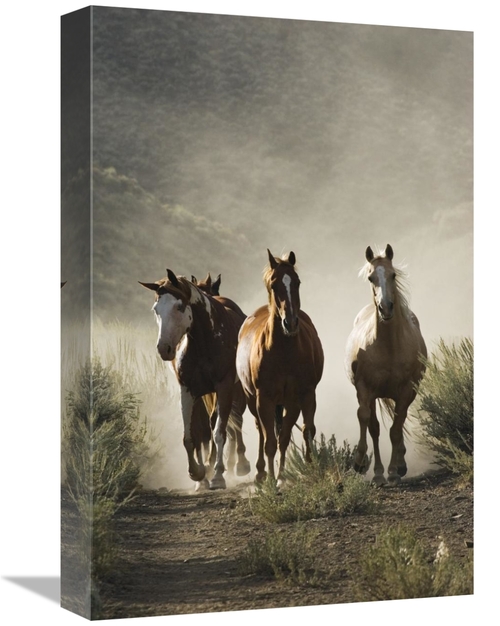 Global Gallery GCS-452593-1218-142 12 x 18 in. Horse Group of Four App