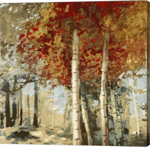 Metaverse C950094-0120000-AAAACMA Frontier II by Edward Selkirk Canvas