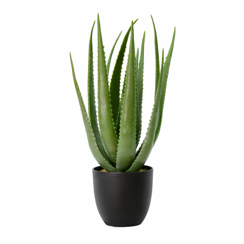Vickerman FO182301 25 in. Green Potted Aloe Vera Pot