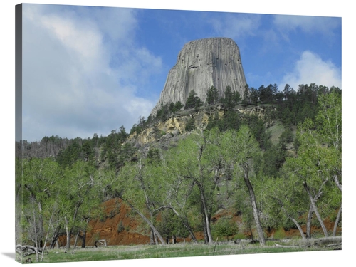 Global Gallery GCS-397168-3040-142 30 x 40 in. Devils Tower National M