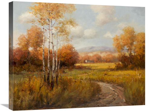 Global Gallery GCS-132456-2228-142 22 x 28 in. Countryside in the Fall