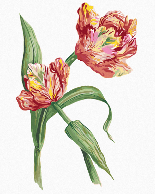 Paint by Numbers - TULIPS (ALEXANDRIA GILBERT)