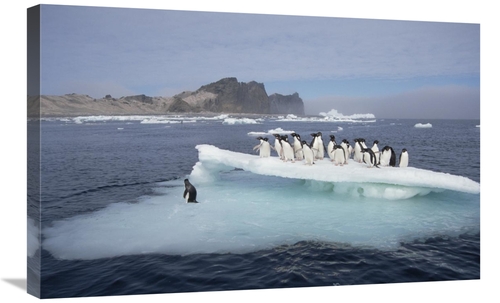 Global Gallery GCS-451542-2030-142 20 x 30 in. Adelie Penguins Resting