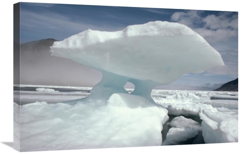 Global Gallery GCS-450710-2030-142 20 x 30 in. Iceberg & Ice Floes&#44