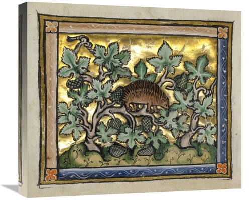 Global Gallery GCS-454752-22-142 22 in. A Hedgehog Art Print - Franco-