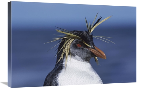 Global Gallery GCS-451808-2030-142 20 x 30 in. Rockhopper Penguin Port