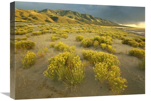 Global Gallery GCS-396886-1824-142 18 x 24 in. Sangre De Cristo Mounta