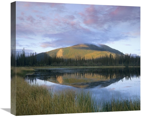Global Gallery GCS-396197-22-142 22 in. Pond Reflecting Nisling Range&