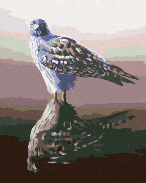 Zuty - Paint by Numbers - HAWK IN THE REFLECTION (D. RUSTY RUST),