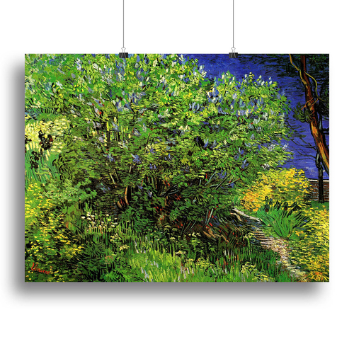 Lilacs by Van Gogh Canvas Print or Poster