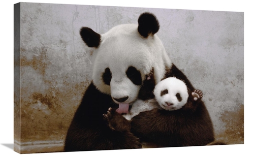 Global Gallery GCS-453019-2030-142 20 x 30 in. Gongzhu & Her Young Cub