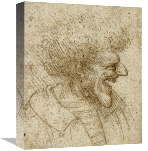 Global Gallery GCS-454786-16-142 16 in. Caricature of a Man with Bushy