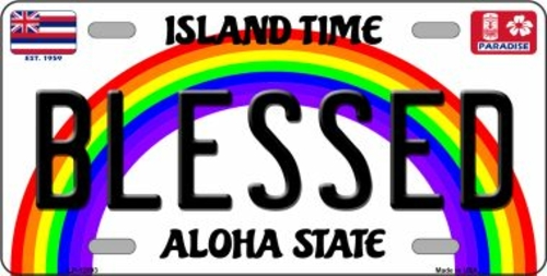 Smart Blonde LP-12593 6 x 12 in. Blessed Novelty Metal License Plate