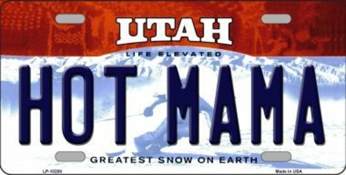 Smart Blonde LP-10208 Hot Mama Utah Background Novelty Metal License P