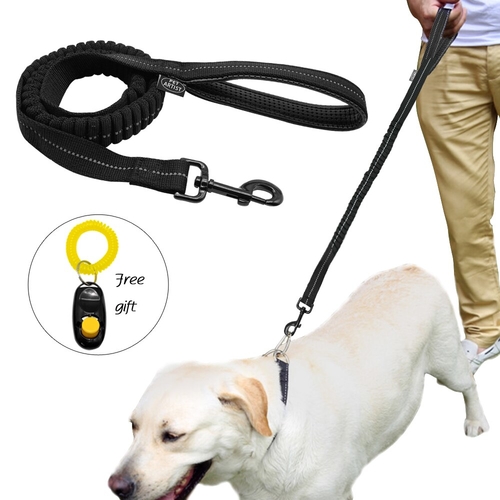 Reflective Pet Dog Leash Bungee Leash forMedium