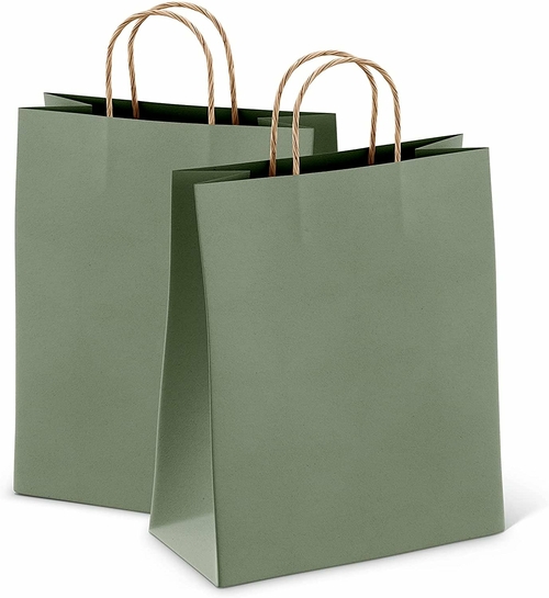 Sage Shopping Bags Bulk Pack of 50 Large Paper Bags 8 x 4.75 x 10.5