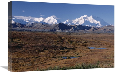 Global Gallery GCS-451905-1624-142 16 x 24 in. Tundra & Mt Denali,