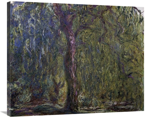 Global Gallery GCS-278747-36-142 36 in. Weeping Willow - Saule pleureu