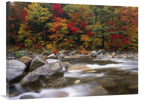 Global Gallery GCS-396923-3040-142 30 x 40 in. Wild River in Eastern H