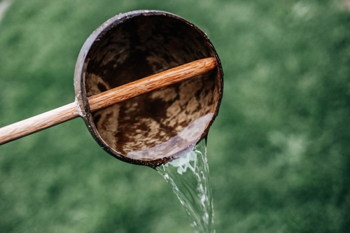 QToys Australia Coconut Shell Water Scoop