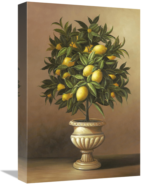 Global Gallery GCS-127131-1218-142 12 x 18 in. Potted Lemon Tree Art P