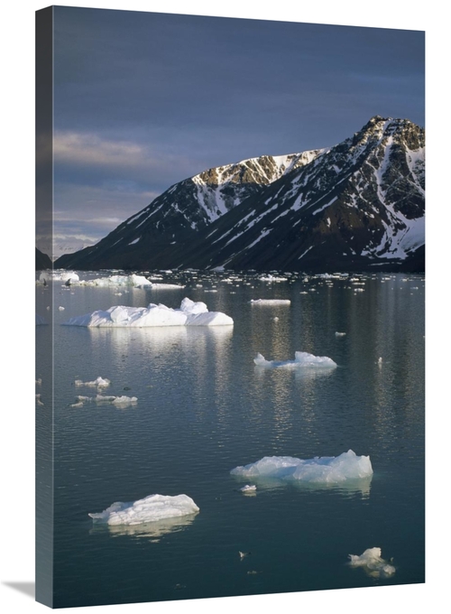 Global Gallery GCS-451338-2030-142 20 x 30 in. Ice Floes in Evening Li