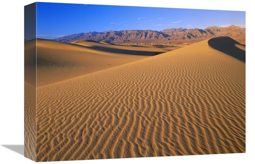 Global Gallery GCS-396647-1216-142 12 x 16 in. Mesquite Flat Sand Dune