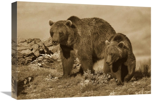 Global Gallery GCS-395921-22-142 22 in. Grizzly Bear Mother with A One