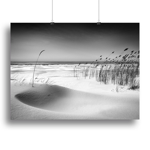 Orchestra Canvas Print or Poster