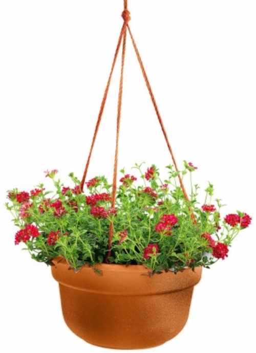 Bloem 12in Dura Cotta Hanging Basket Terra Cotta DCHB12-46