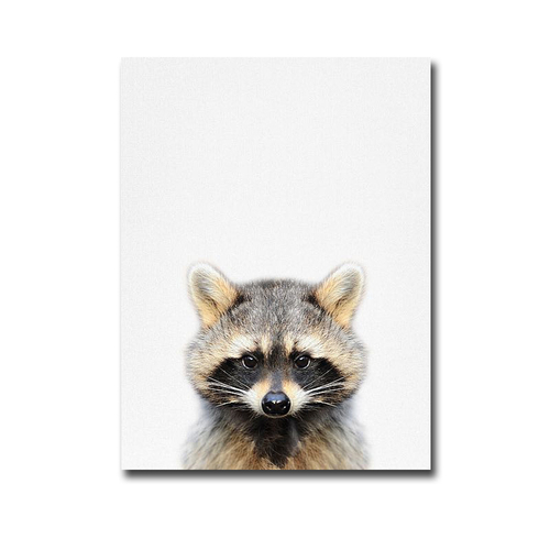 Artistic Home Gallery 1216U196IG Raccoon by Tai Prints Premium Gallery