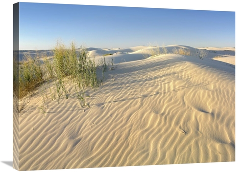 Global Gallery GCS-396271-2432-142 24 x 32 in. Sand Dunes, Monahan