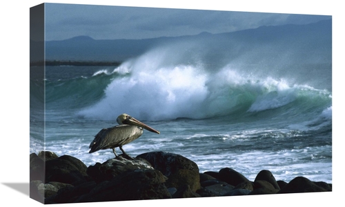 Global Gallery GCS-452308-1218-142 12 x 18 in. Brown Pelican & Ocean W